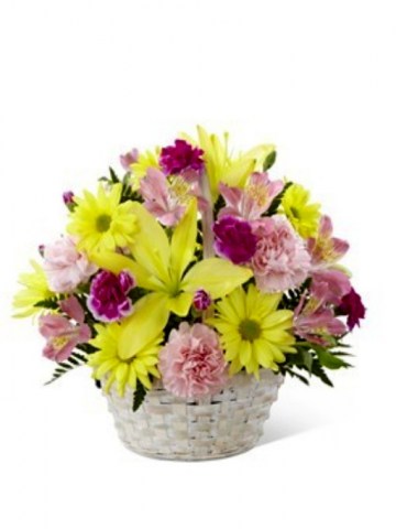 C13-4840 us 65,55 Basket of Cheer